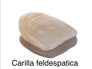 Carilla Feldespatica
